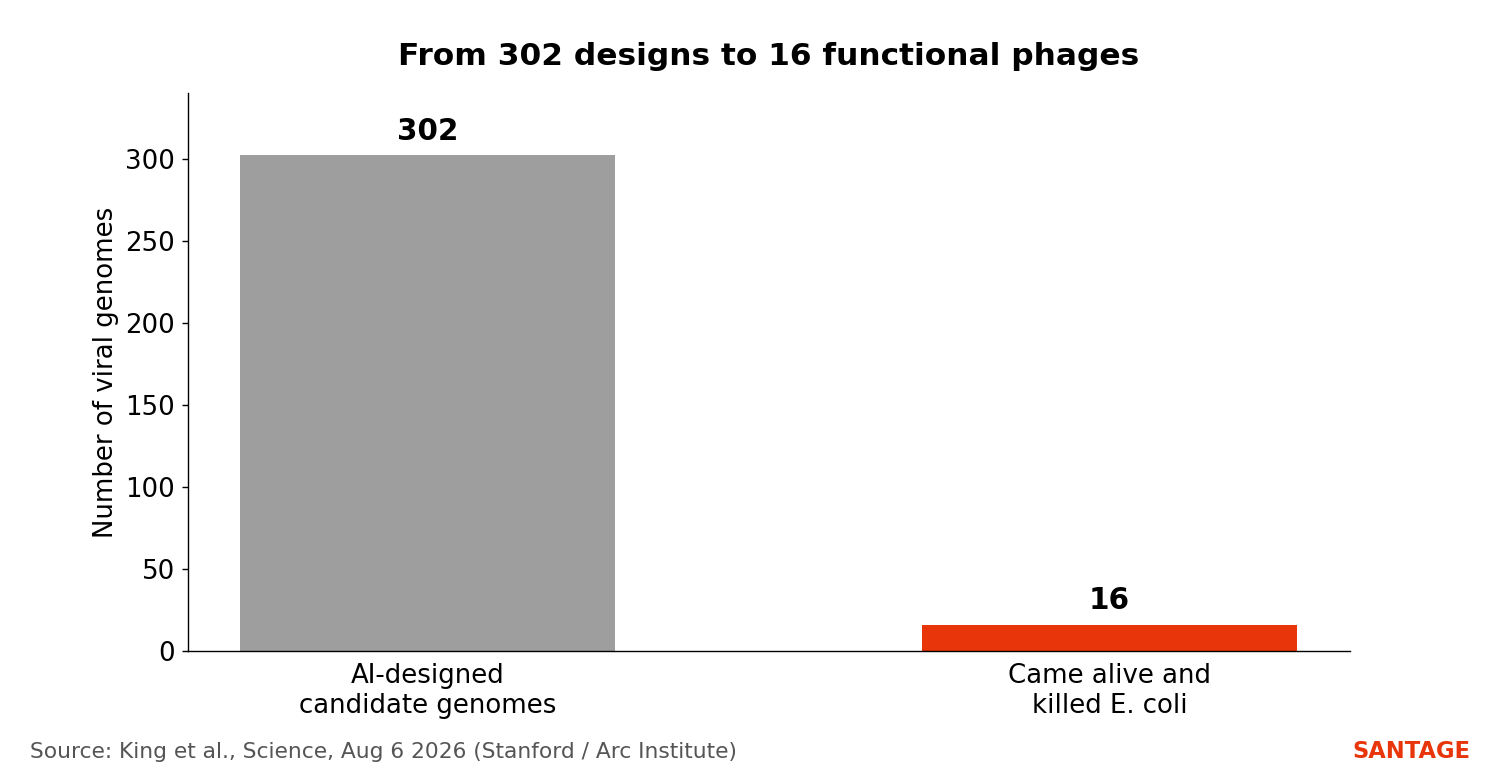 Bar chart showing 302 AI-designed candidate genomes narrowed to 16 that came alive and killed E. coli