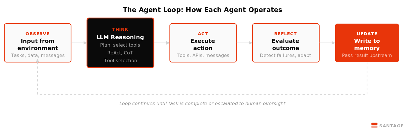 The 5-stage agent loop. Every agent in a MAS runs this cycle continuously, with the orchestrator's "Act" step being task delegation to specialist agents rather than direct tool use.